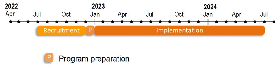 Program preparation timeline